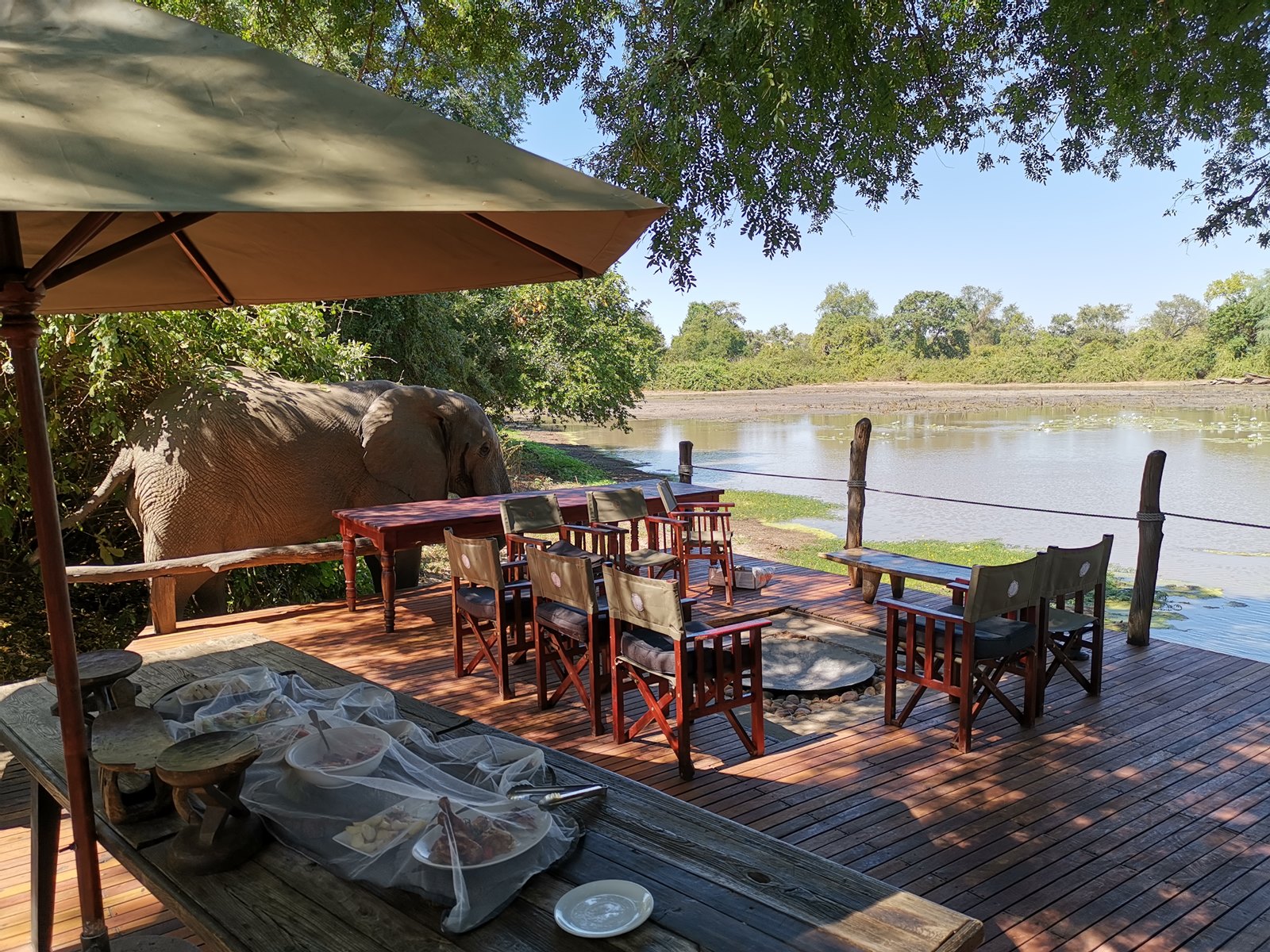 Mana Pools
