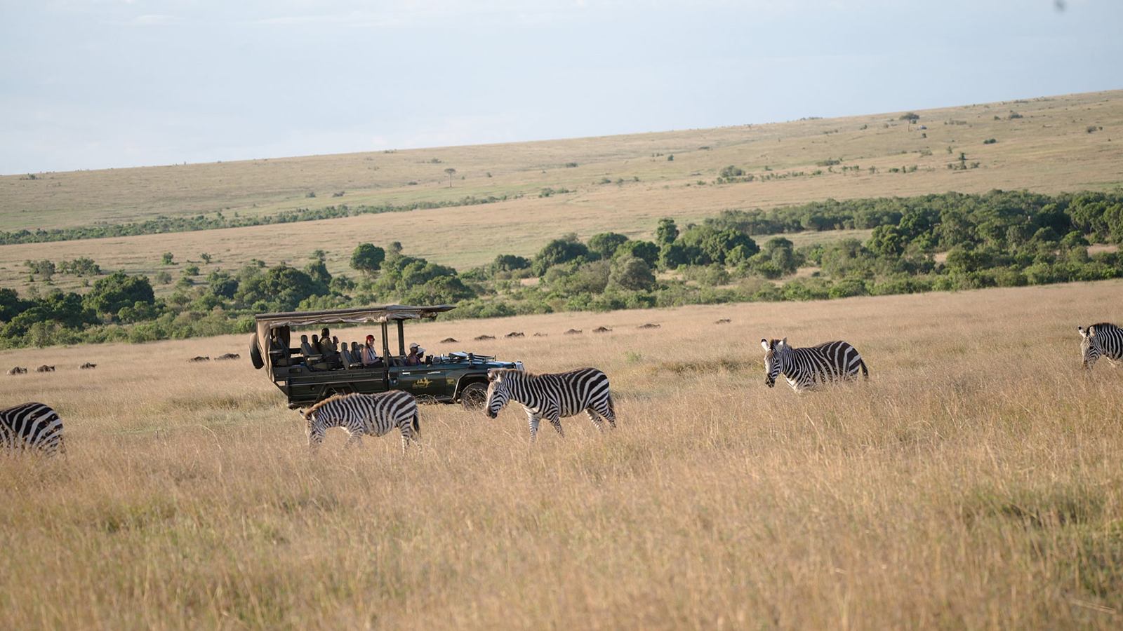 Masai Mara