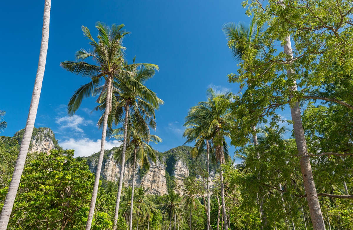 Tinidee Hideaway Tonsai Beach Krabi en Krabi