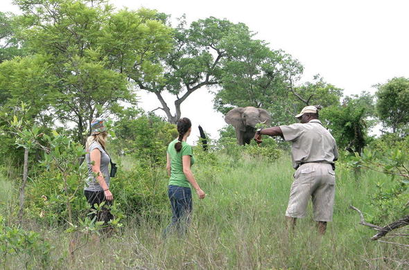 Jock Safari Lodge en Kruger National Park