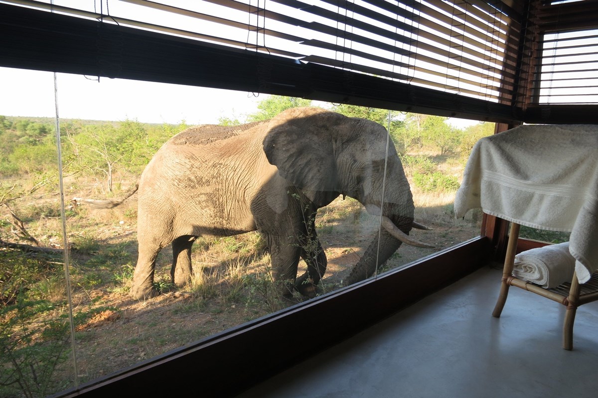 Makumu Private Game Lodge en Kruger National Park