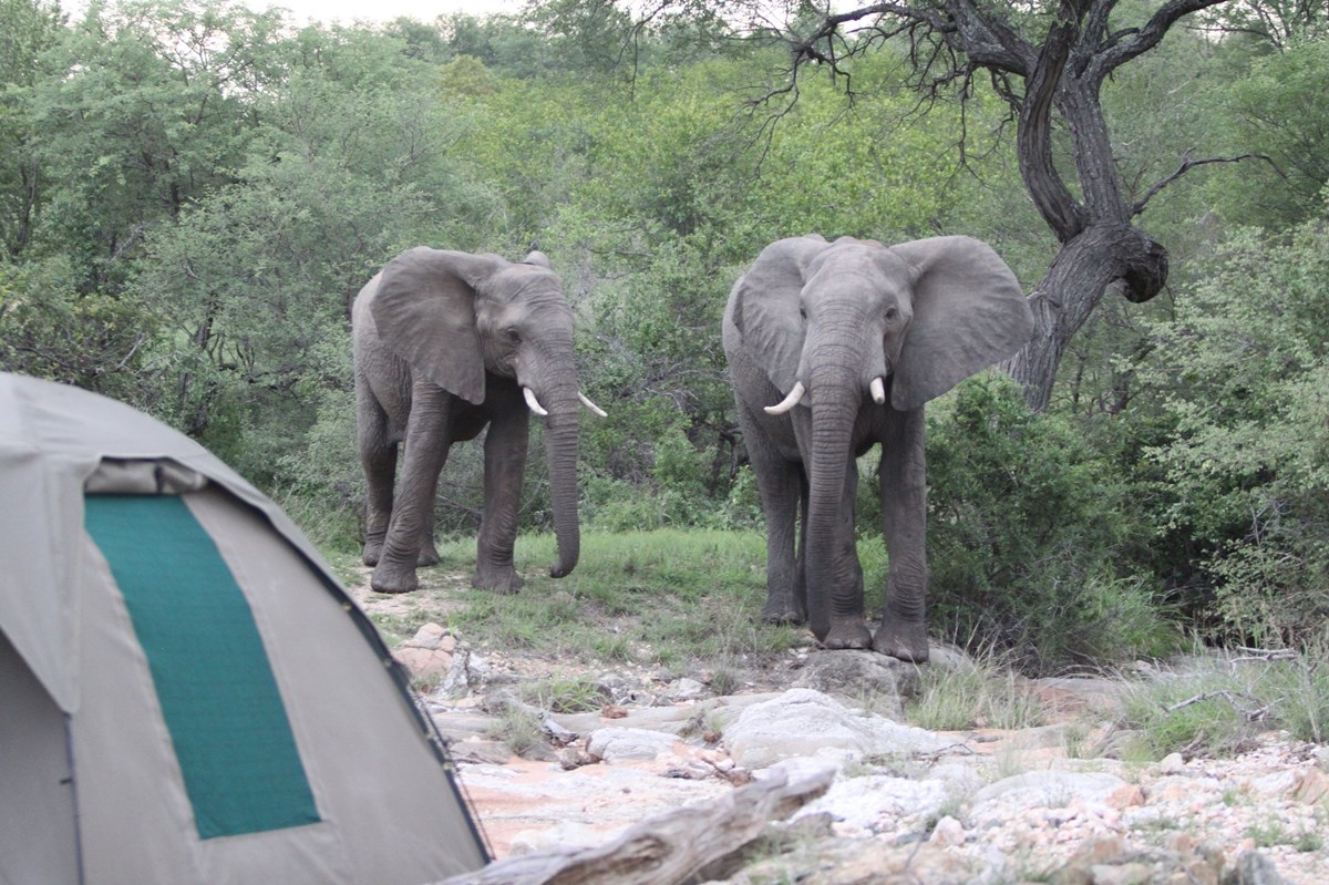 Makumu Private Game Lodge en Kruger National Park