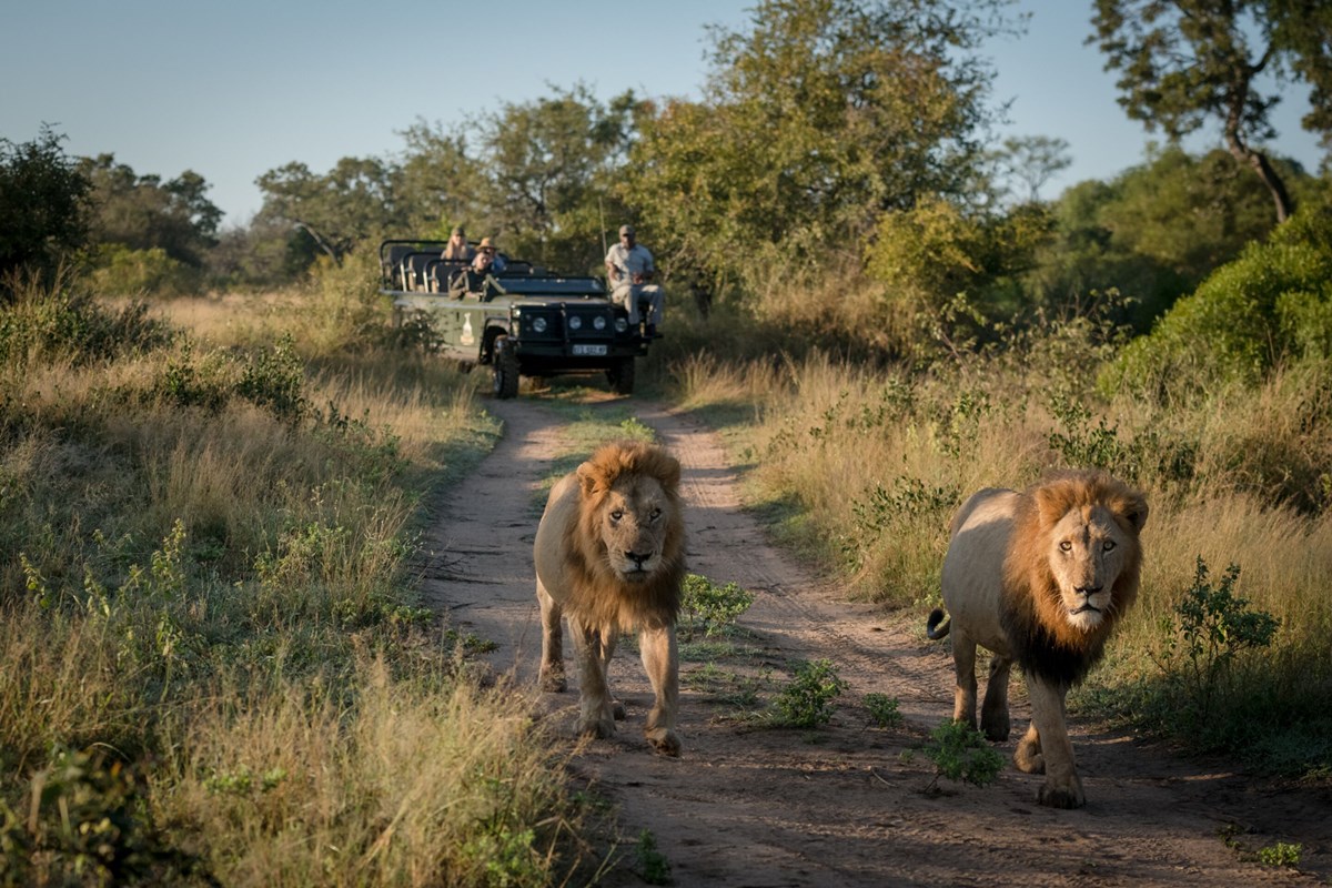 Makumu Private Game Lodge en Kruger National Park
