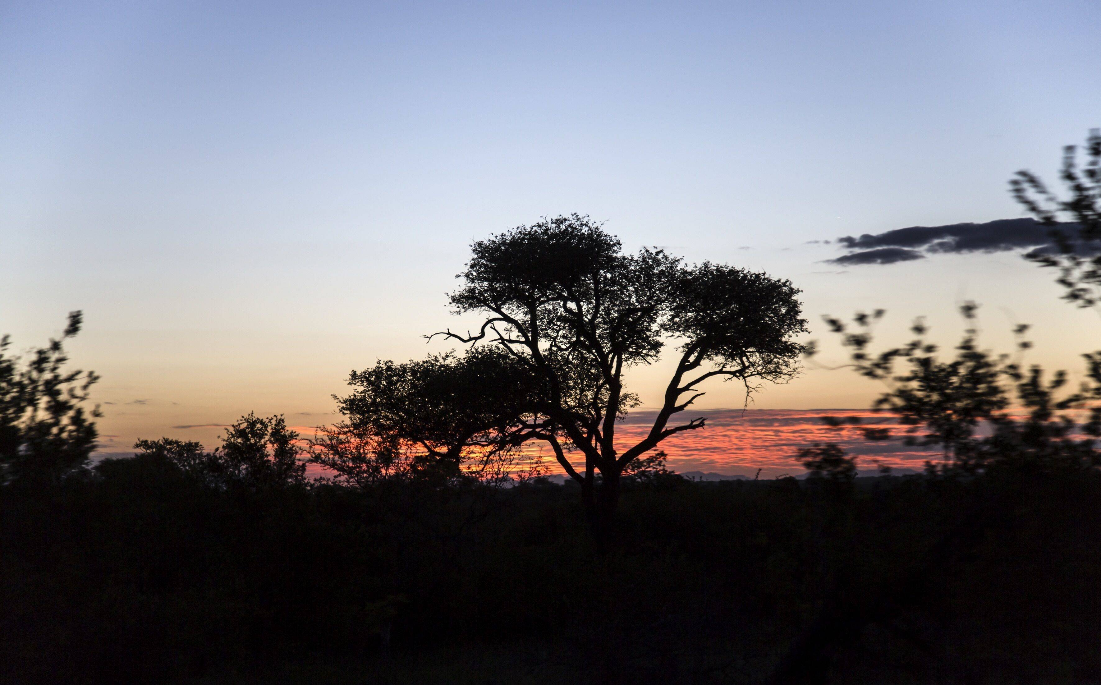 Simbavati Trails Camp en Kruger National Park