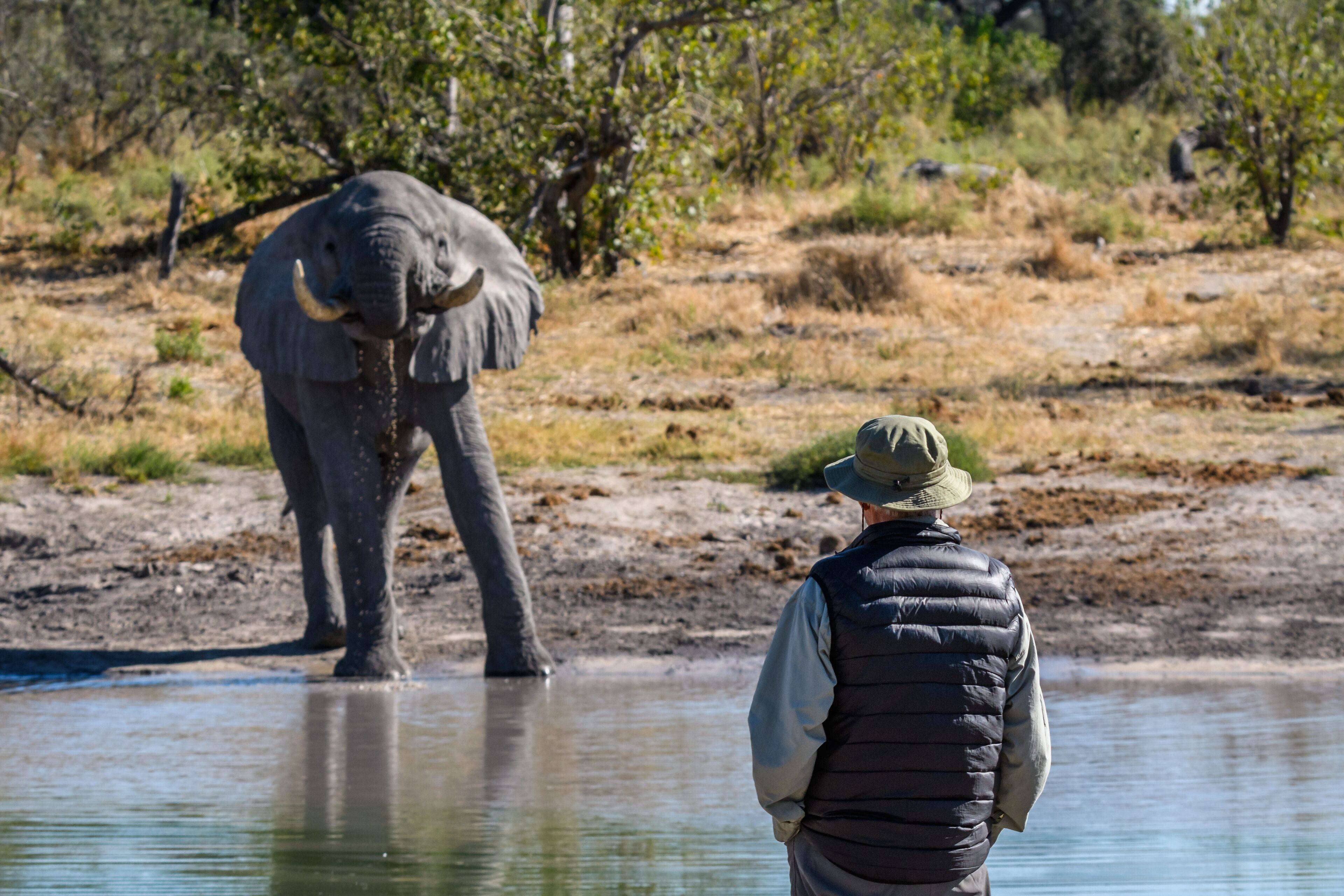 Simbavati Trails Camp en Kruger National Park