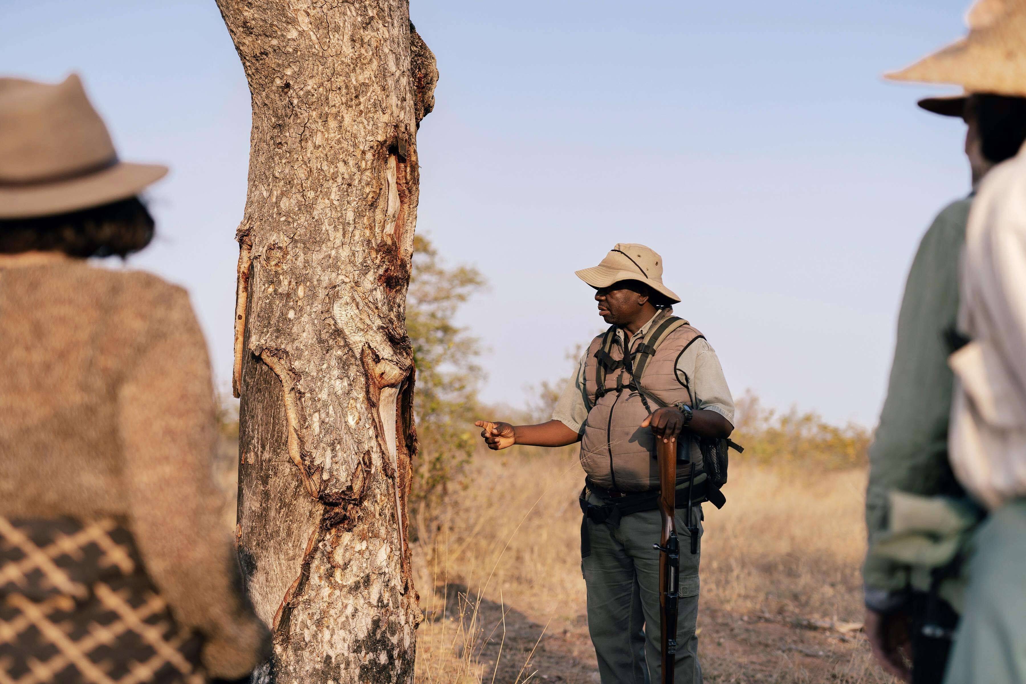 Simbavati Trails Camp en Kruger National Park