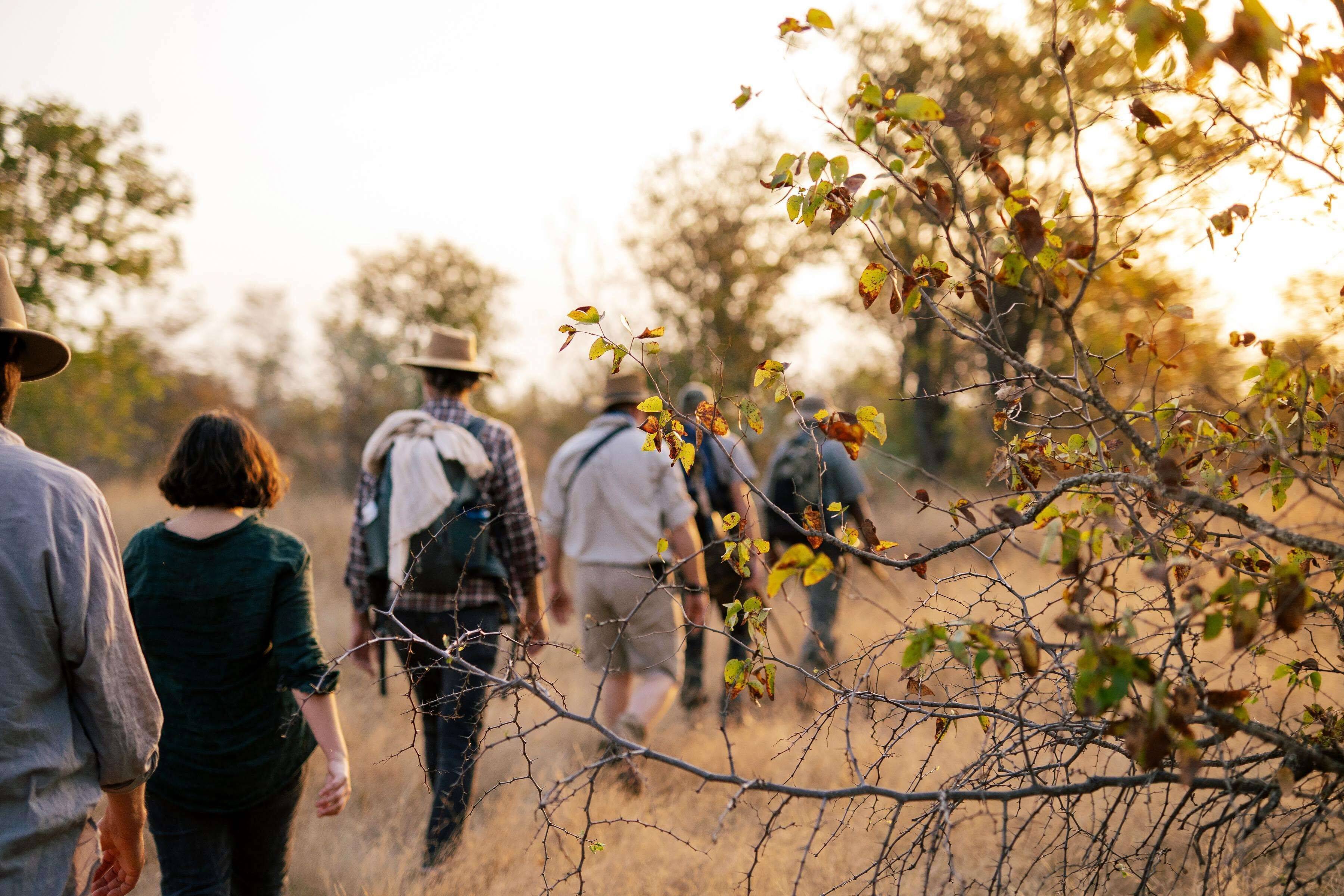 Simbavati Trails Camp en Kruger National Park