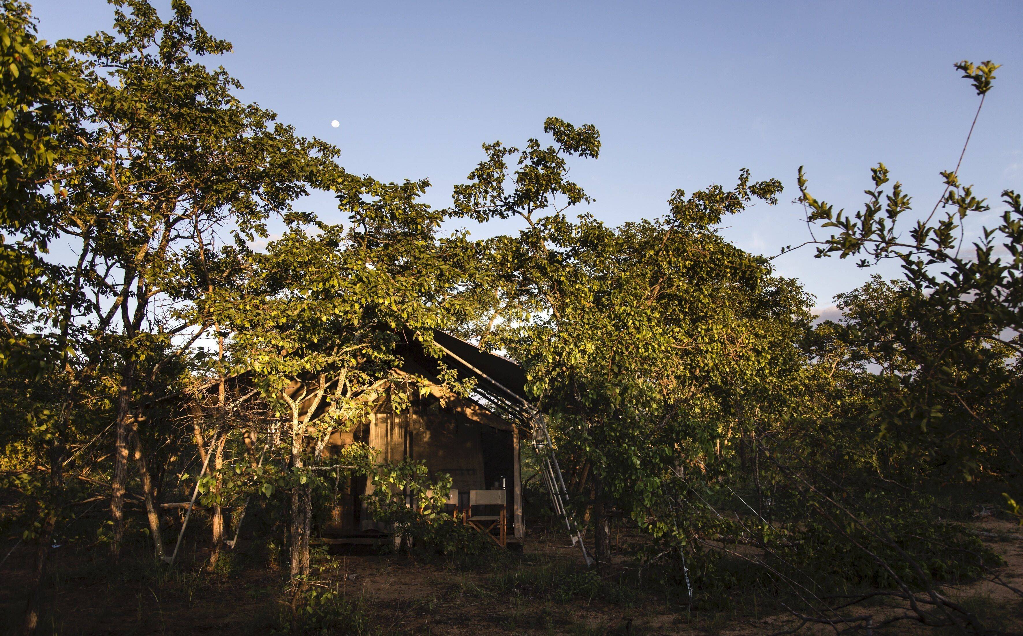 Simbavati Trails Camp en Kruger National Park
