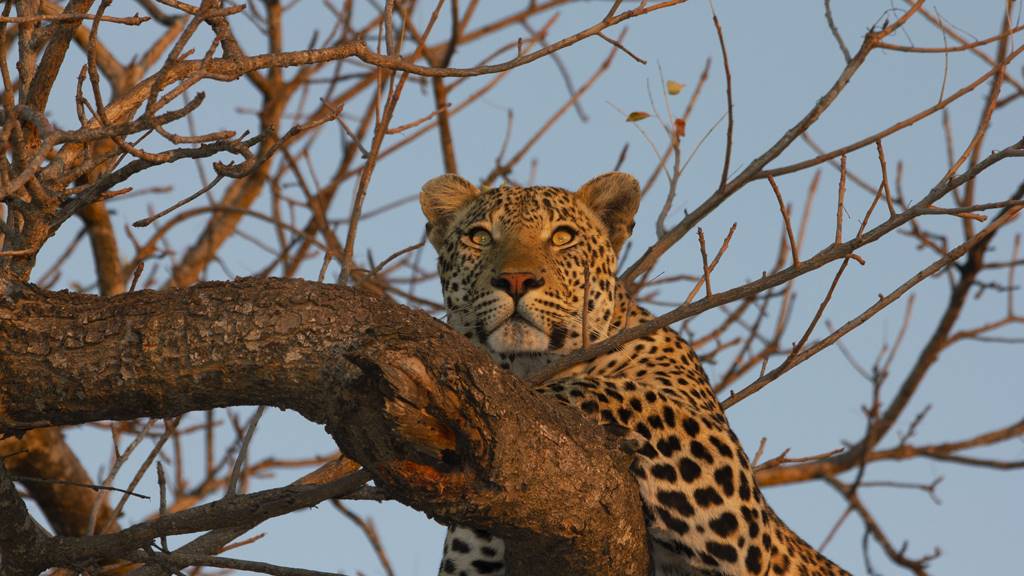 Simbavati Waterside en Kruger National Park