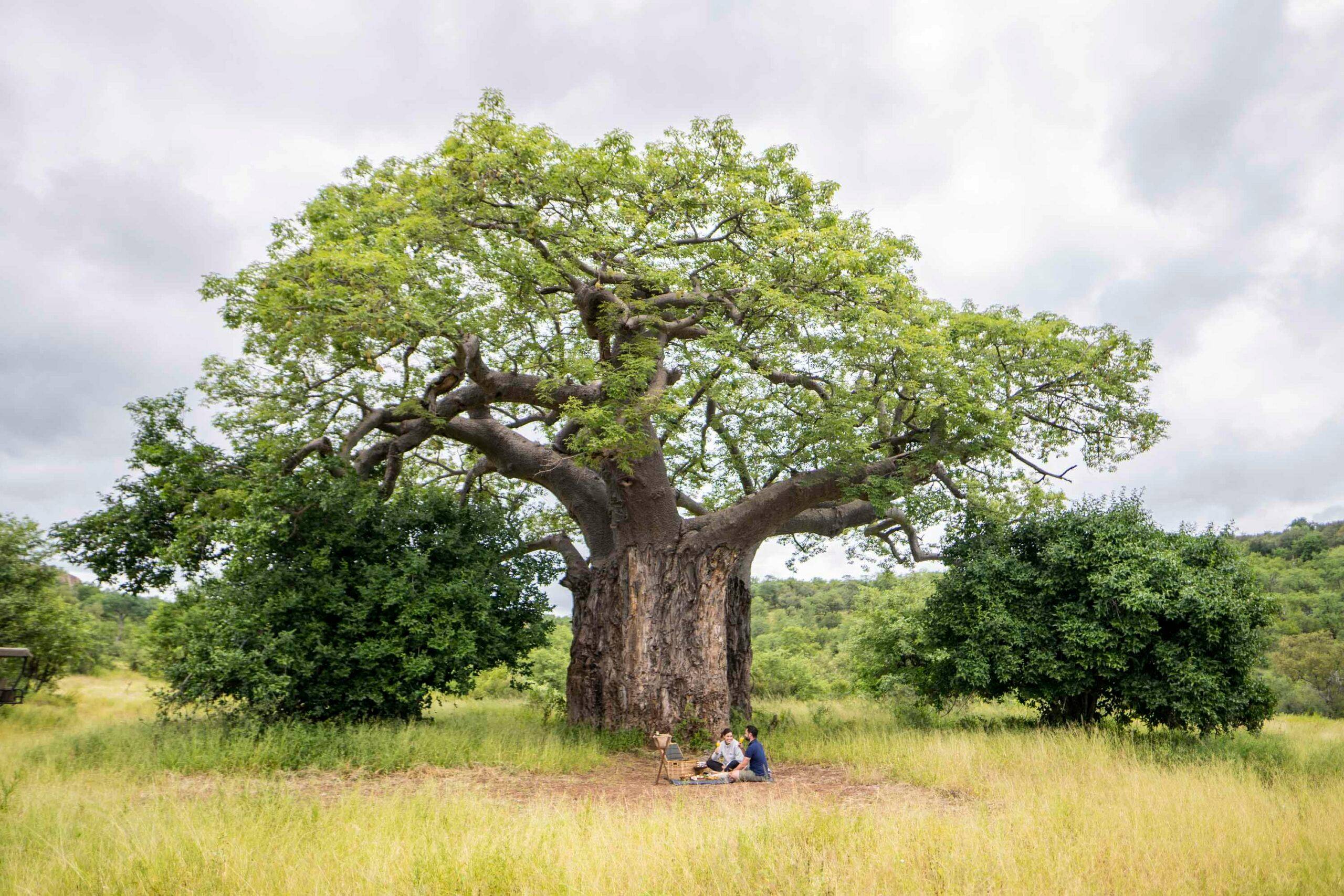 The Outpost Lodge en Kruger National Park