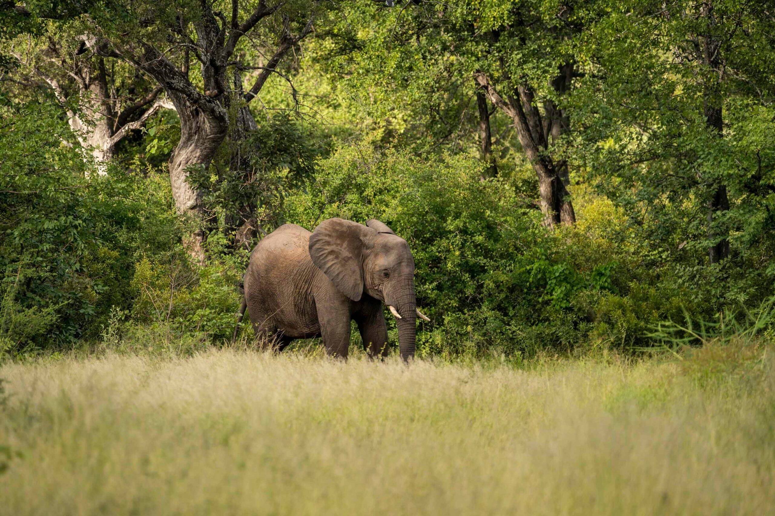 The Outpost Lodge en Kruger National Park