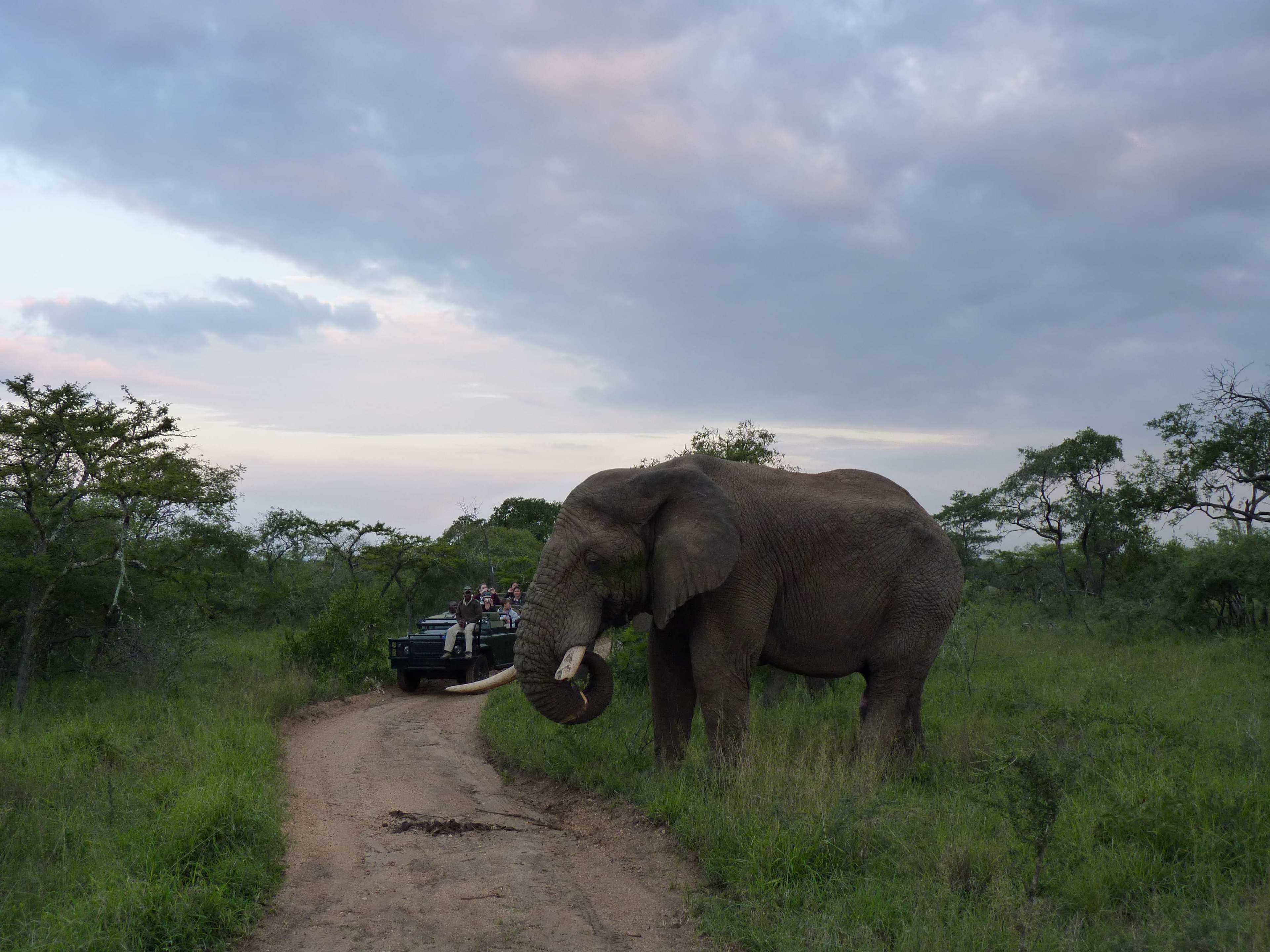 Simbambili Game Lodge en Kruger National Park