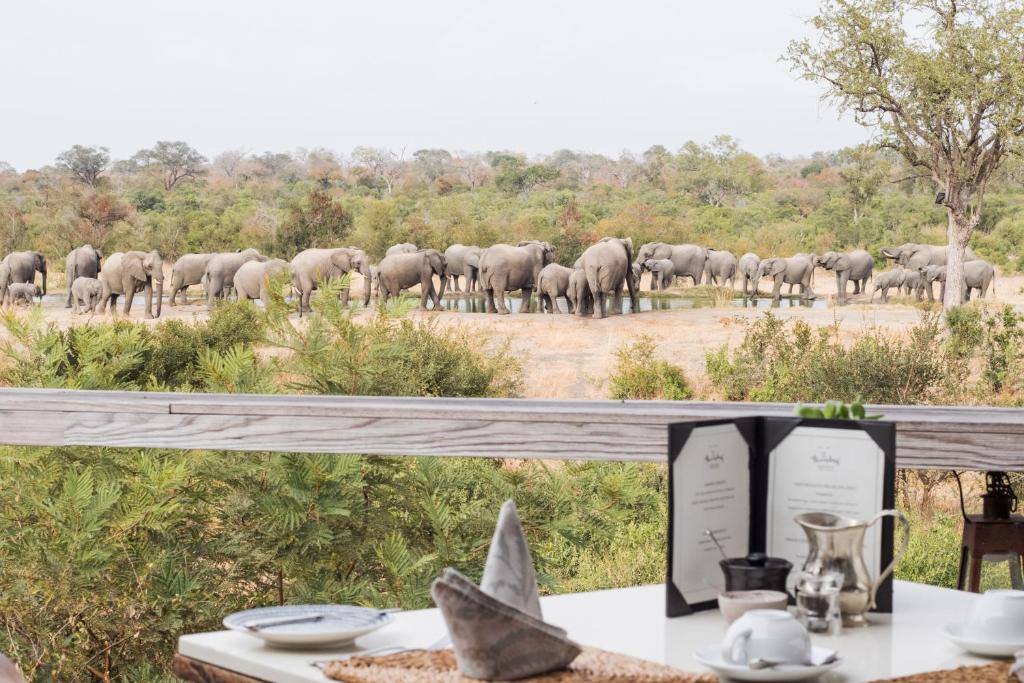 Simbambili Game Lodge en Kruger National Park