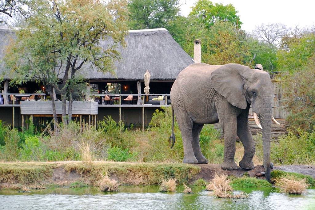 Simbambili Game Lodge en su destino