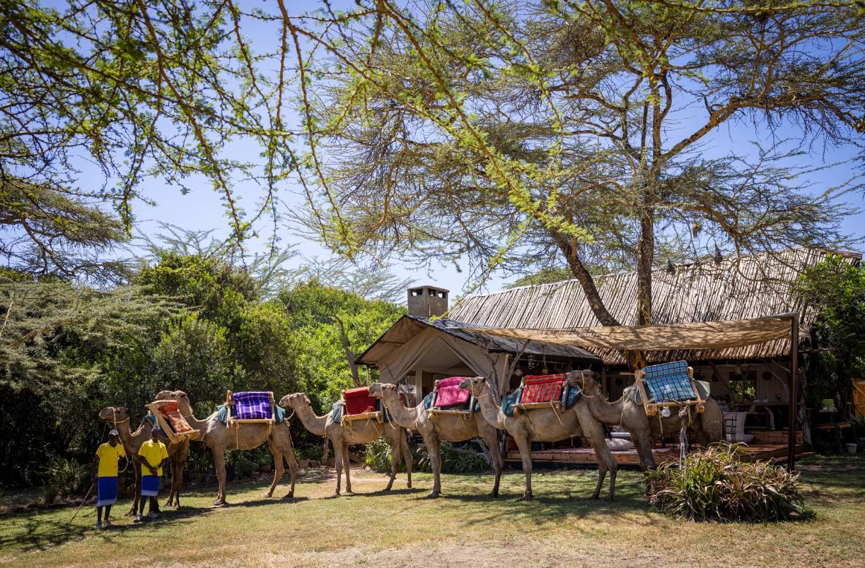 Ekorian's Mugie Camp en Laikipia 
