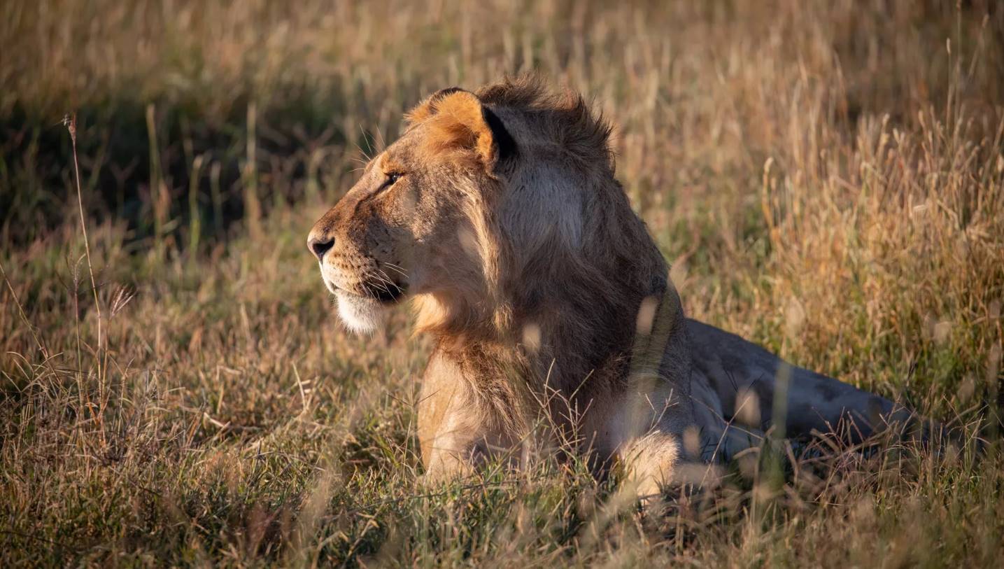 Ekorian's Mugie Camp en Laikipia 