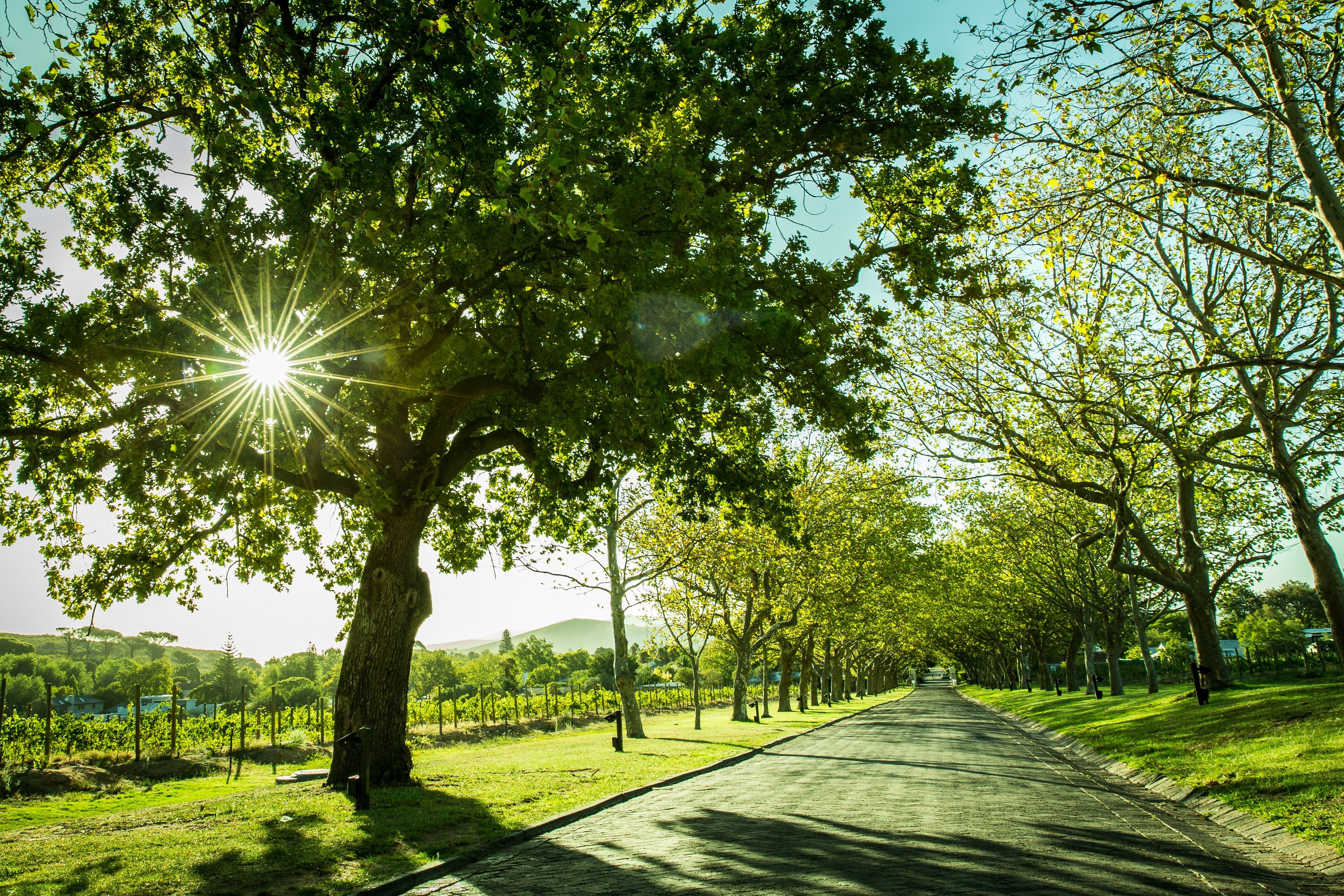 Lanzerac Hotel en Stellenbosch