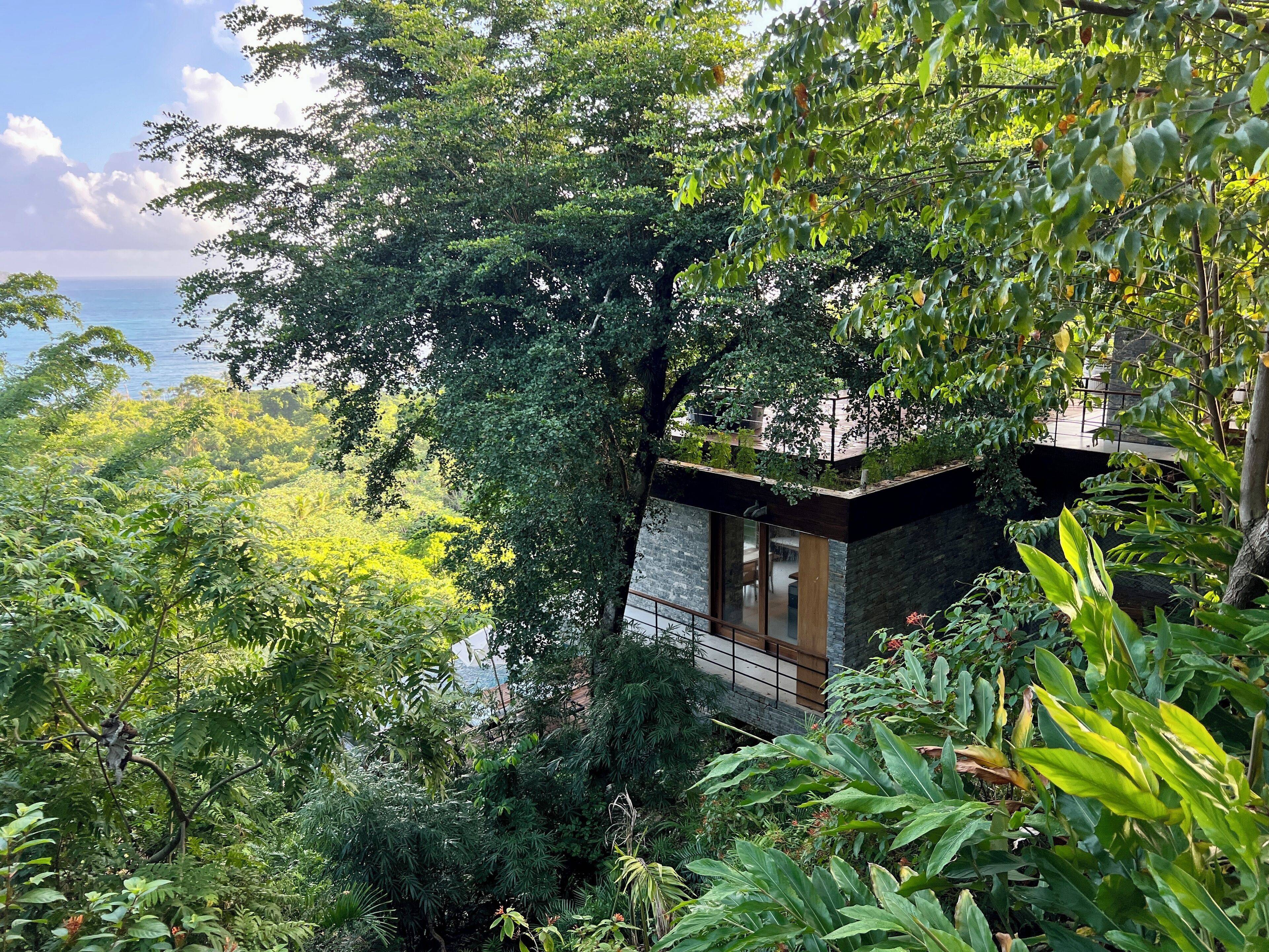 Ocama en Las Galeras