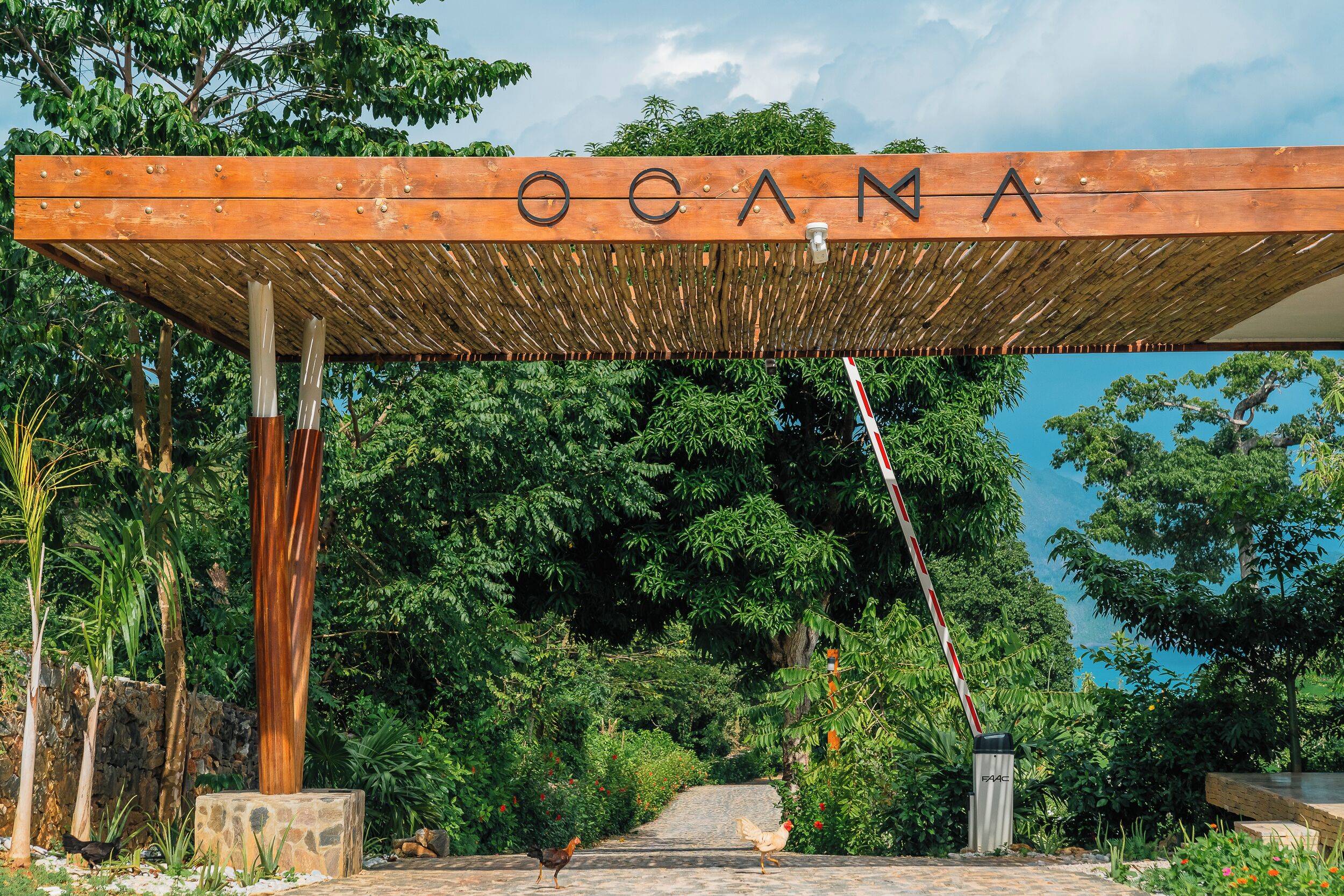 Ocama en Las Galeras