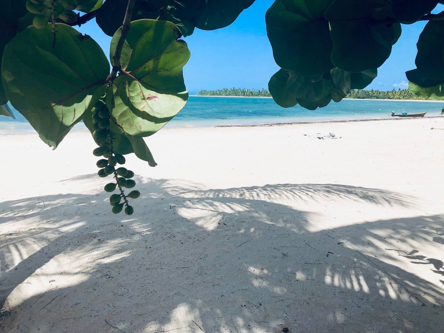 Villa Beachfront en Las Terrenas