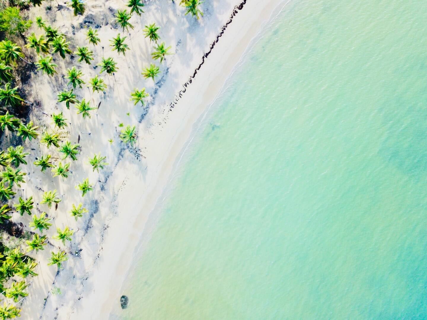 Villa Beachfront en Las Terrenas