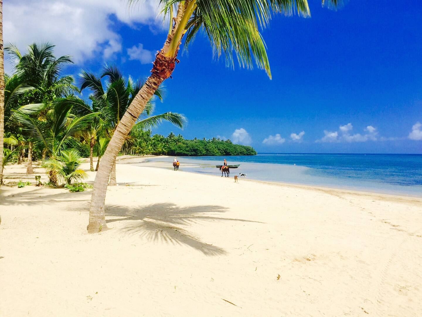 Villa Beachfront en Las Terrenas