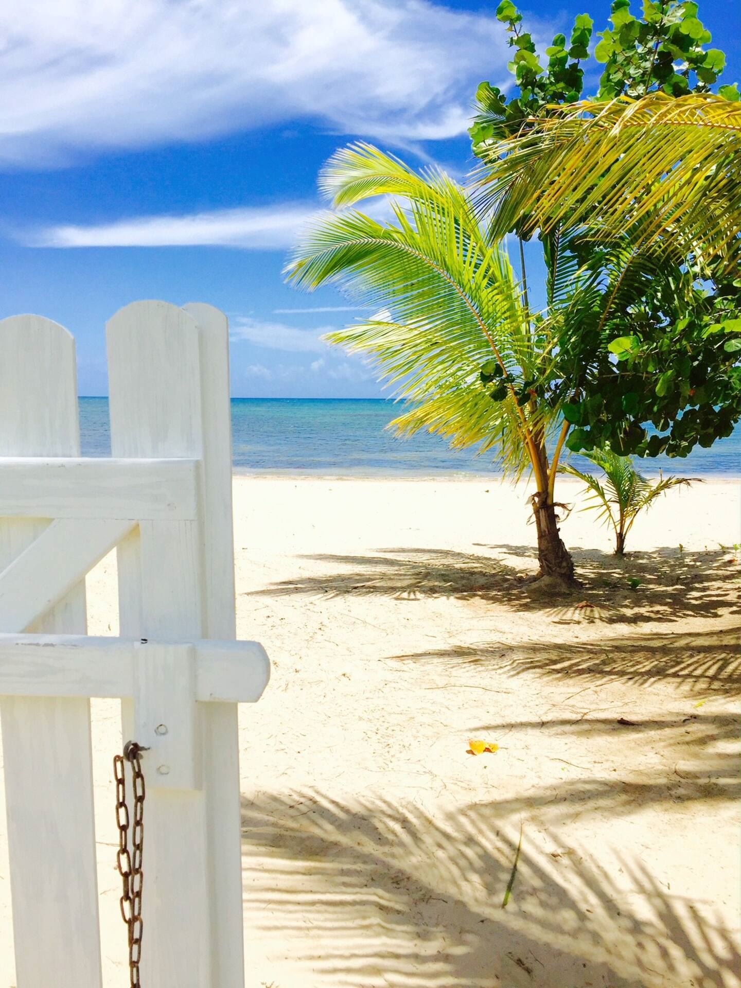 Villa Beachfront en Las Terrenas