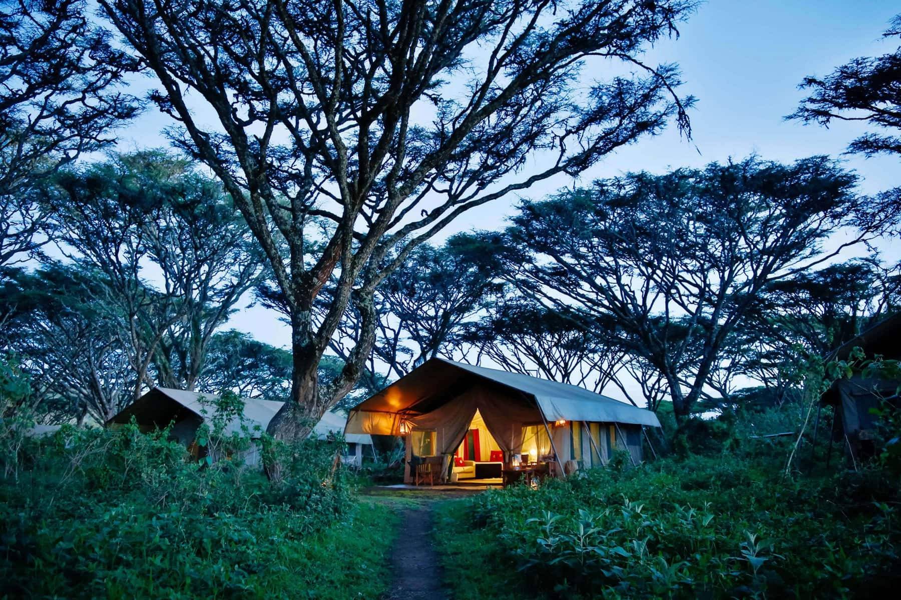 Lemala Ngorongoro Tented Camp  en Ngorongoro