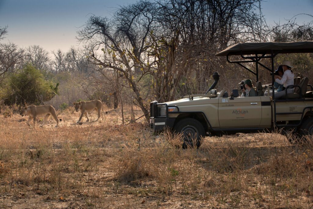 Kanga Expeditions en Mana Pools