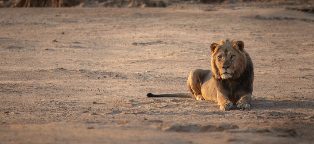 Kanga Expeditions en Mana Pools