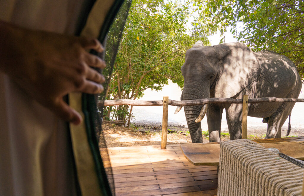 Kanga Expeditions en Mana Pools