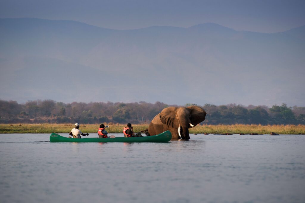 Zambezi Expeditions en Mana Pools