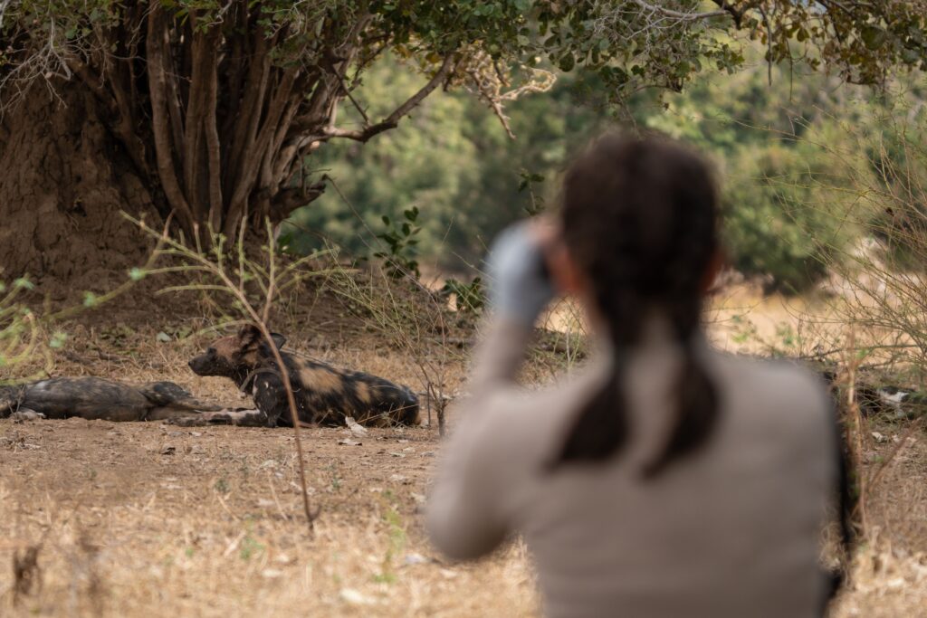 Zambezi Expeditions en Mana Pools