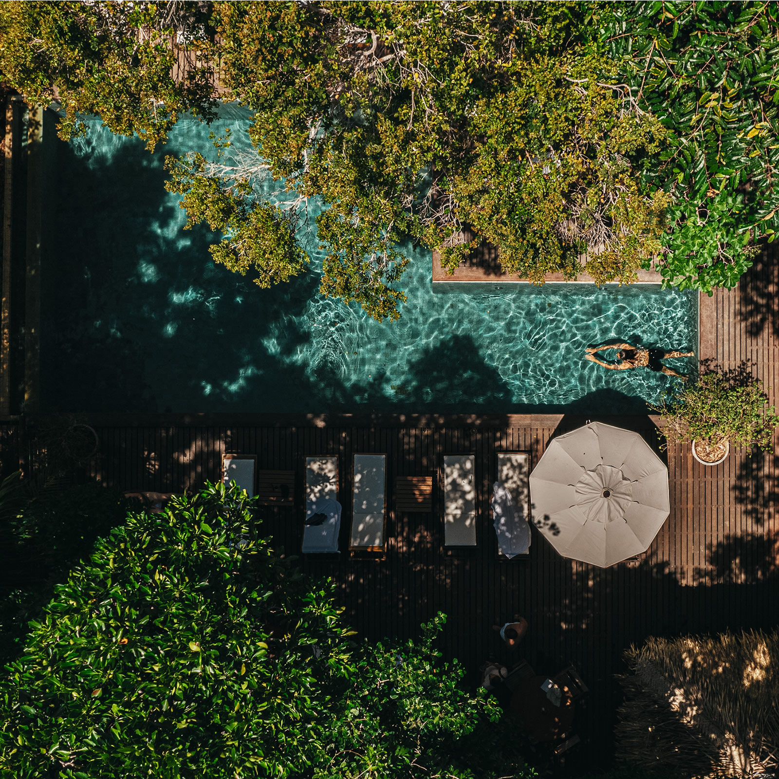 Anavilhanas Jungle Lodge en Manaos