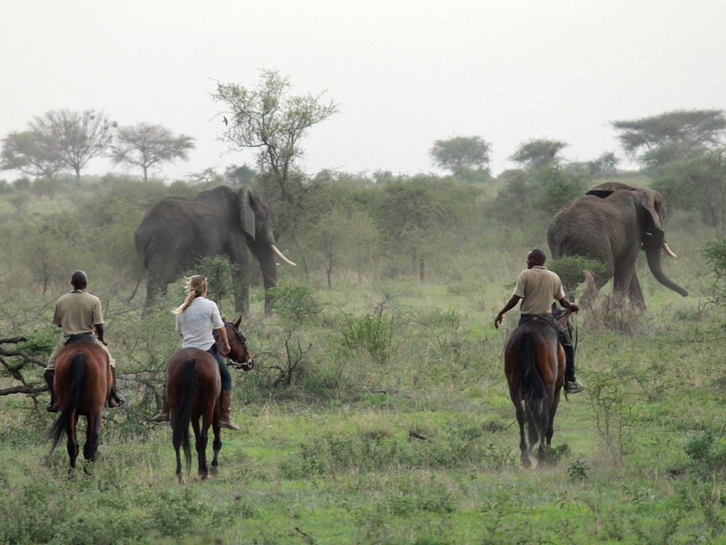 Manyara | LAT.40