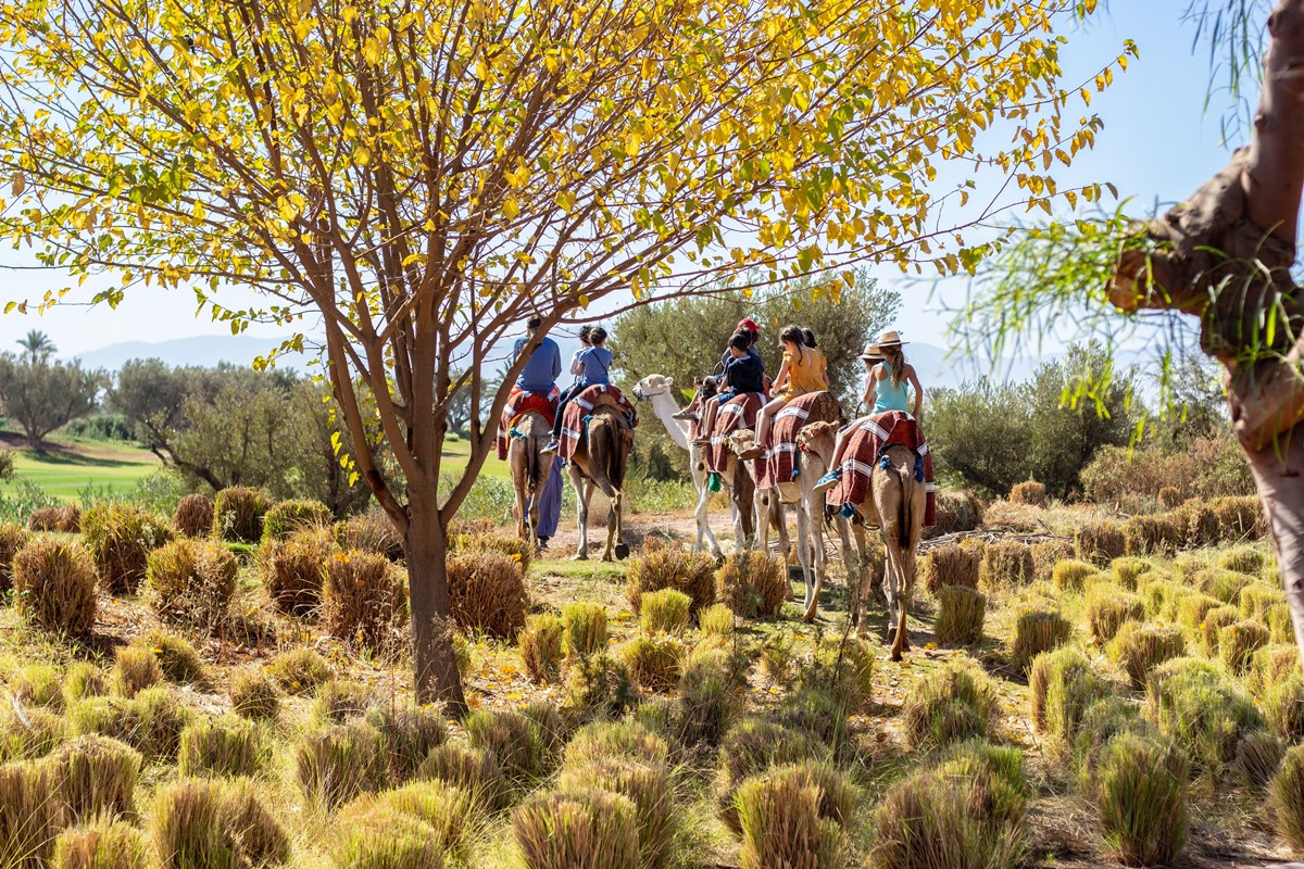 Fairmont Royal Palm Marrakech en Marrakech 