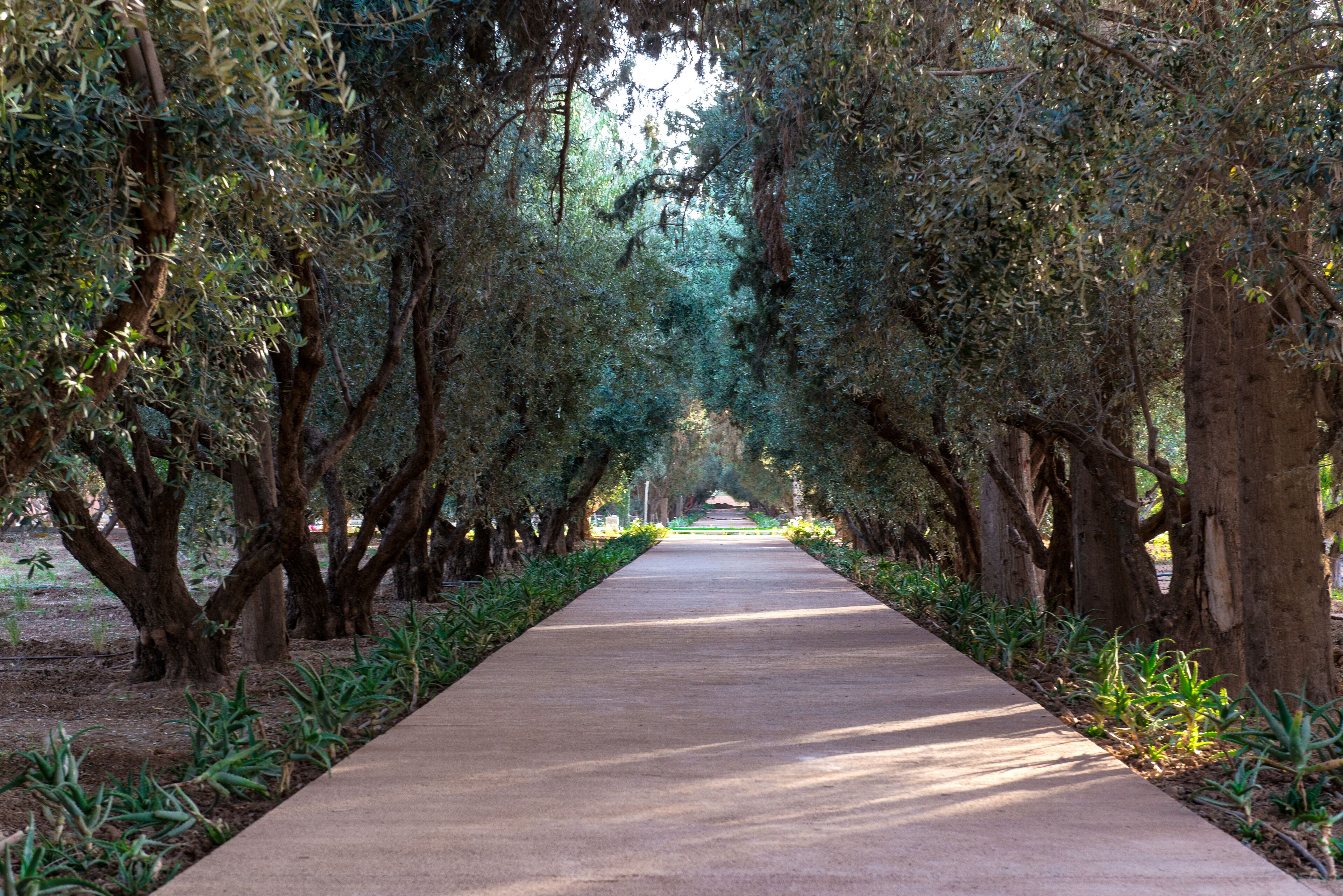 The Oberoi Marrakech en Marrakech 