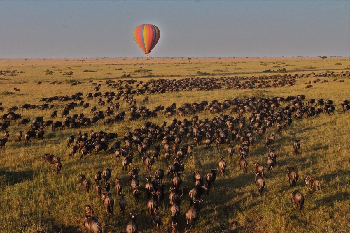 Saruni Eagle View en Masai Mara