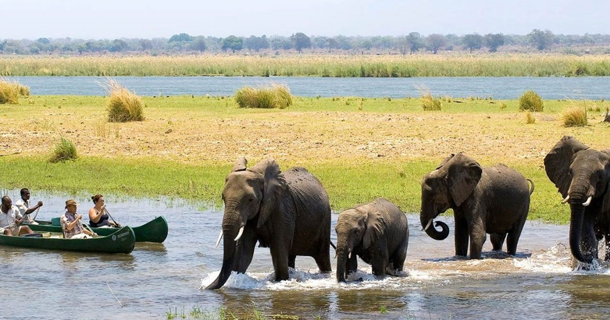 Crucero Safari  en Matusadona 