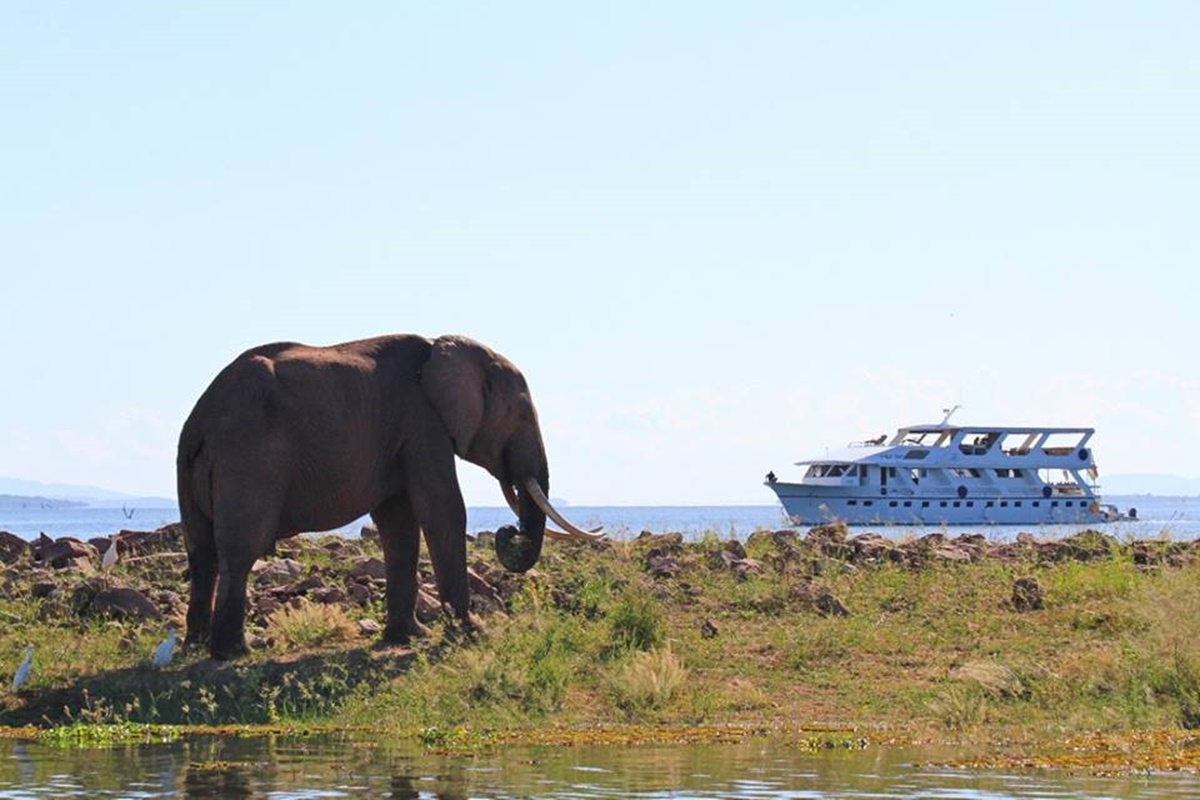 Crucero Safari  en Matusadona 