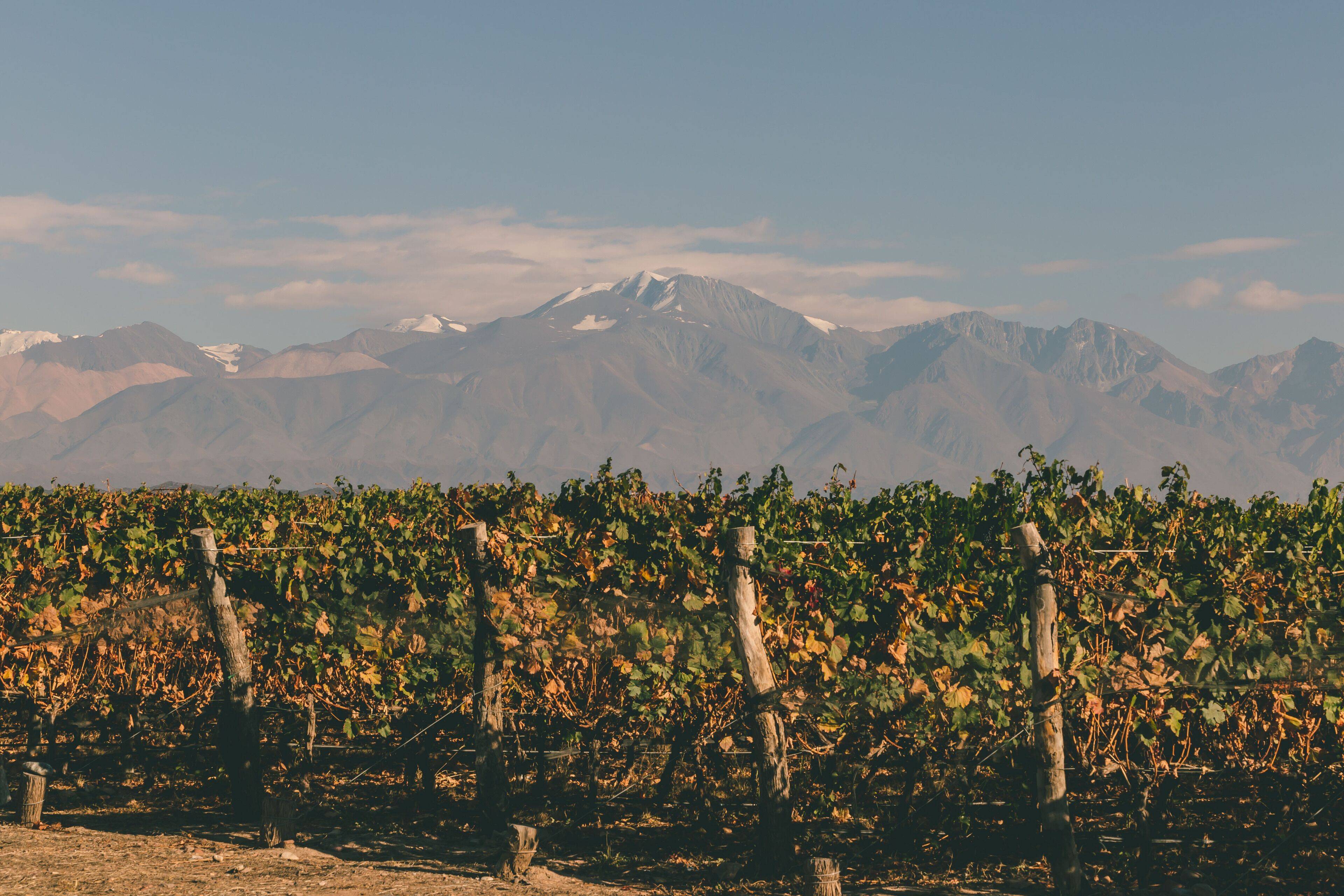 Rosell Boher Winery Lodge & Spa en Argentina