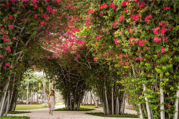 The Ritz-Carlton, South Beach en Miami