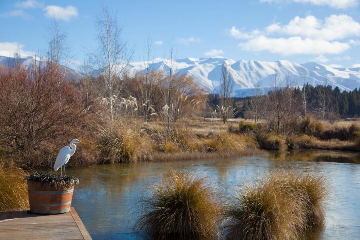 Mt Cook