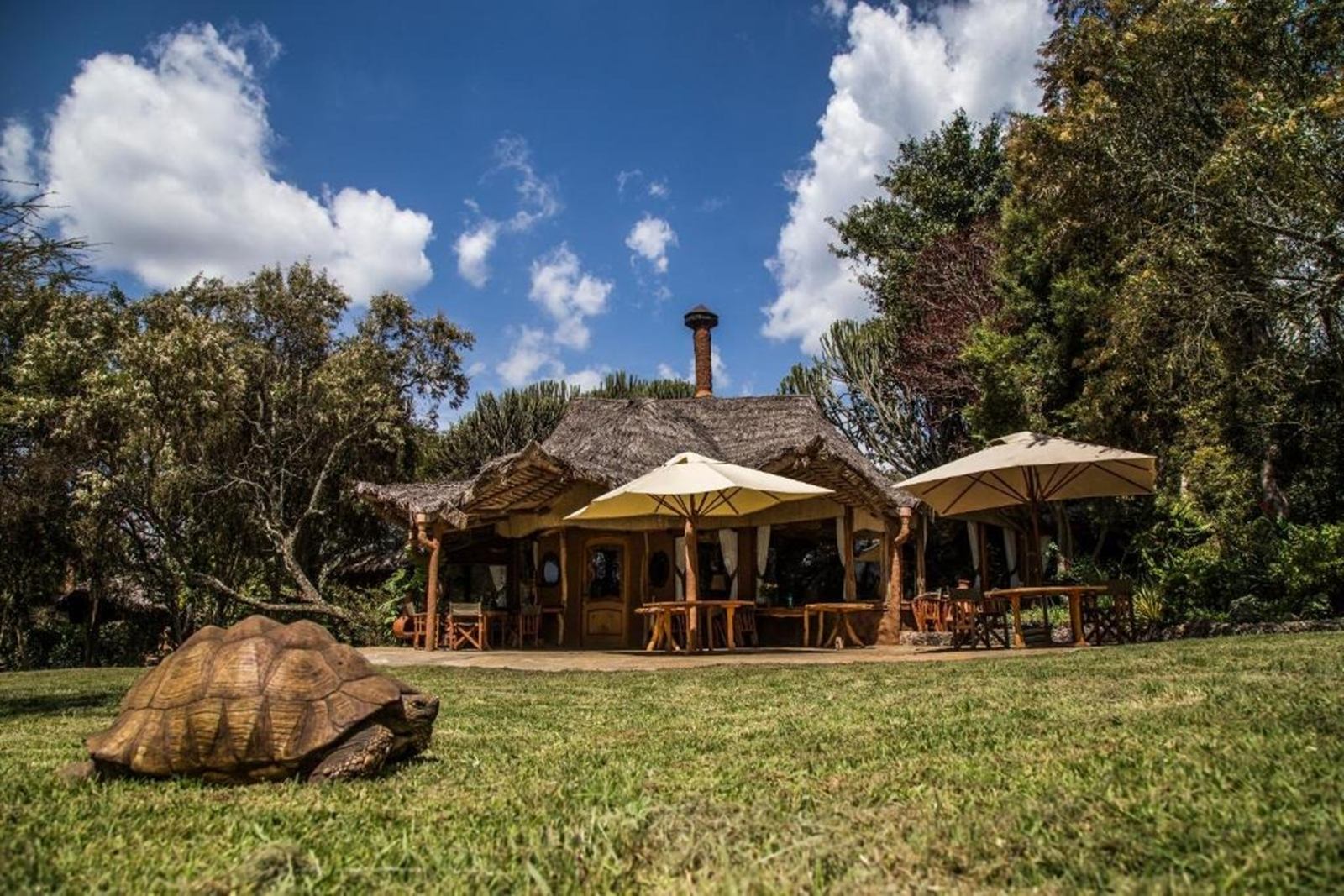 Chui Lodge  | LAT.40