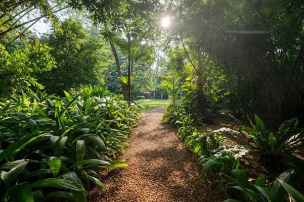 Wallawwa en Negombo