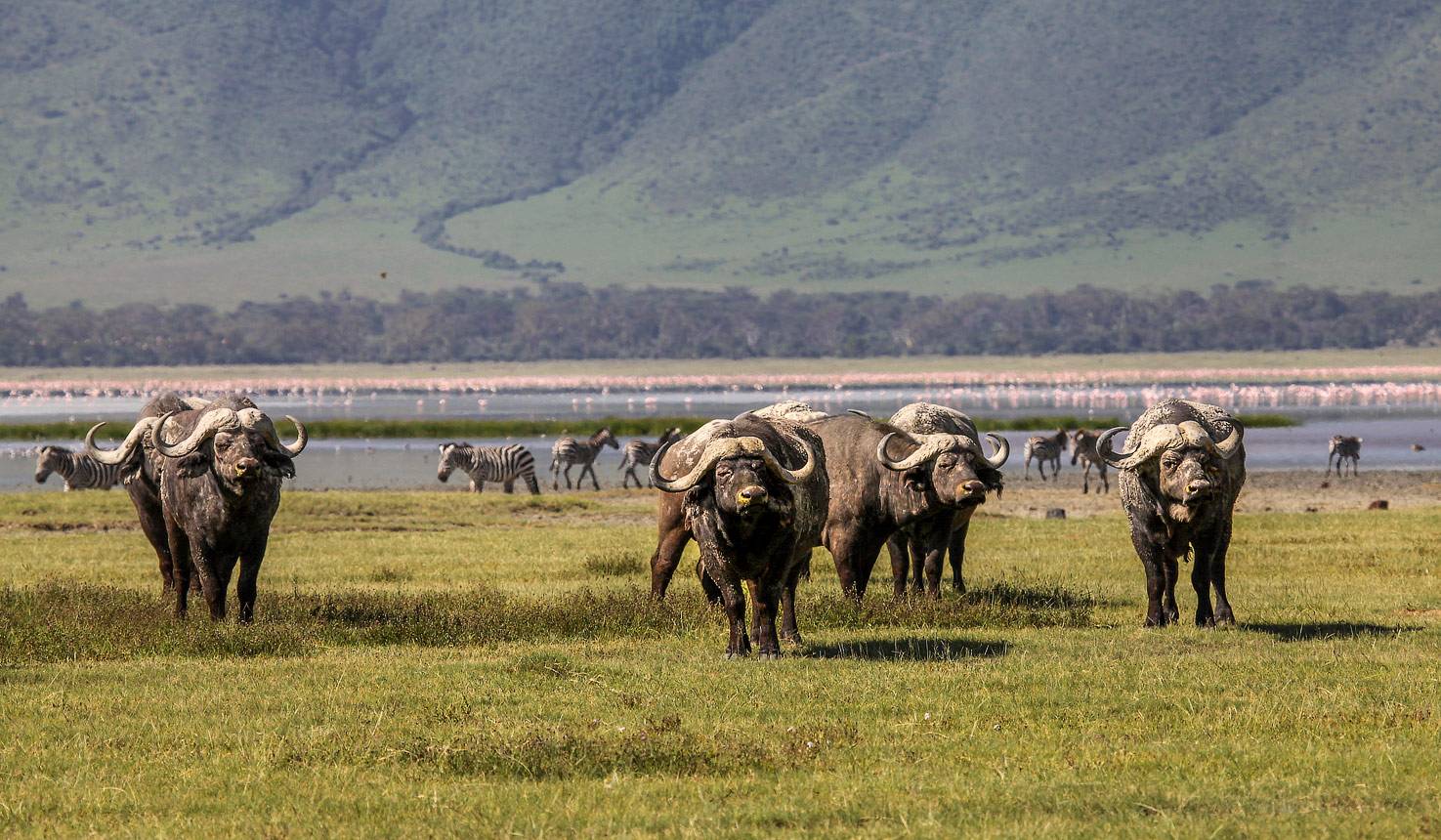 Lemala Osonjoi Lodge  en Ngorongoro