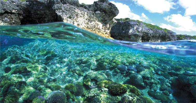 Niue | LAT.40