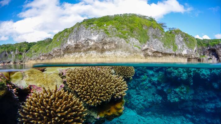 Niue | LAT.40