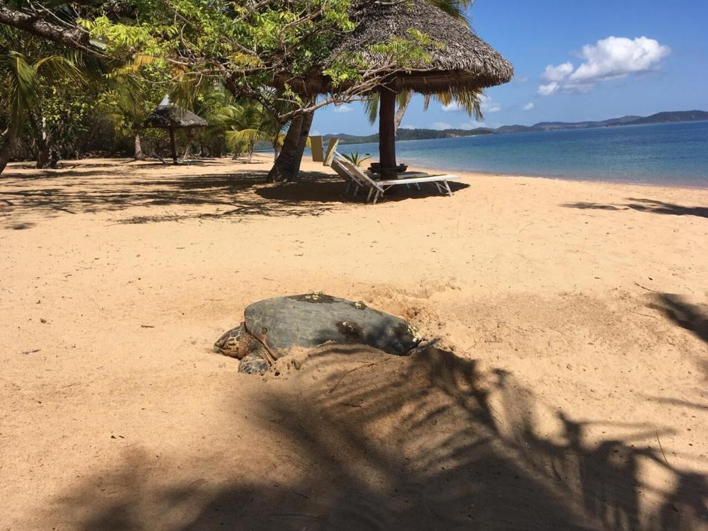 Eden Lodge  en Nosy Be