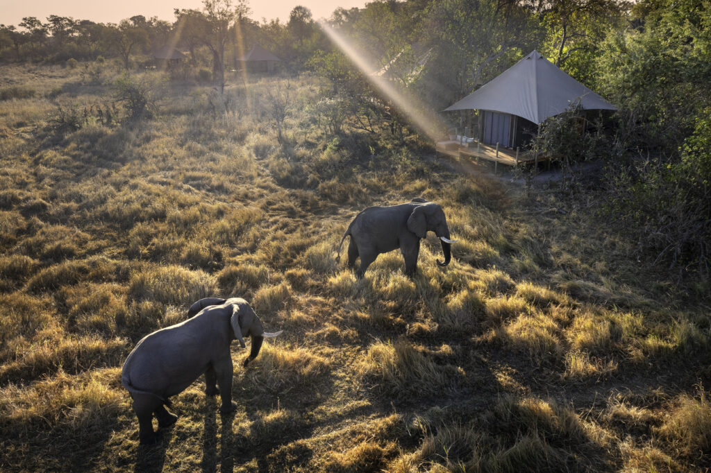 Khwai Lediba en Delta Okavango